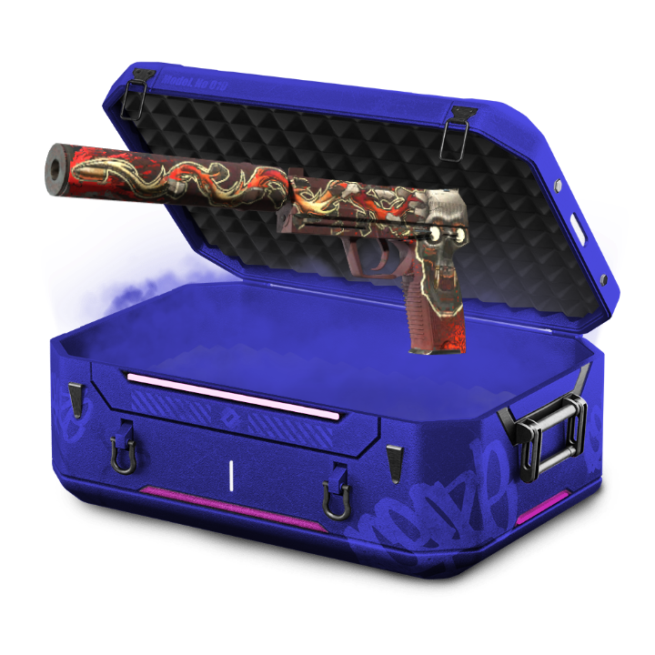 2014 Holo Case