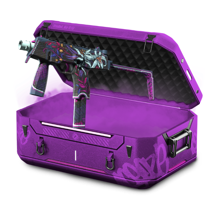 All Smg FN
