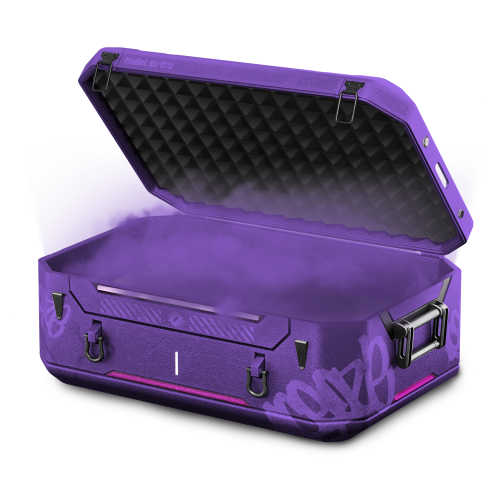 Glitch Case