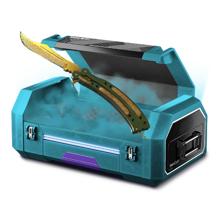 SnowWhisper Cases