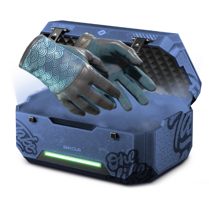 10,5% Gloves