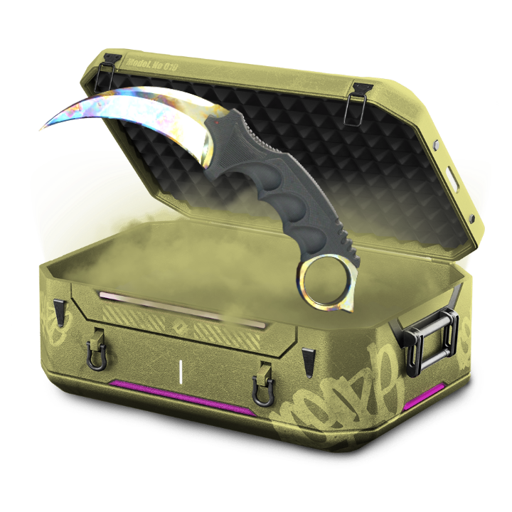 SFLR HARD CASE