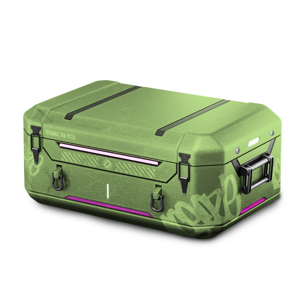 pps case