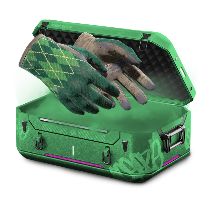 50/50 Glove Case