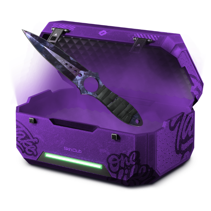 Purple Loadout