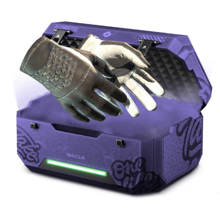0.1 Gloves