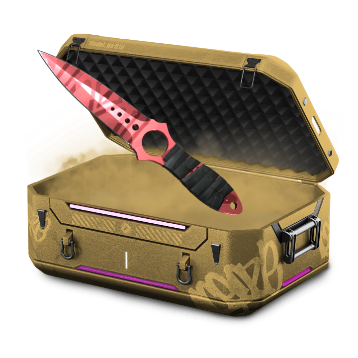 ThePifCase
