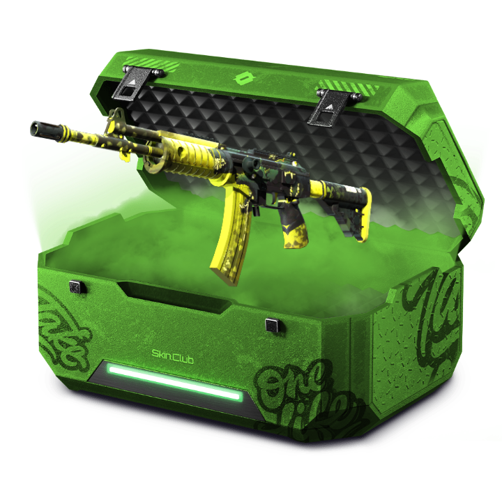 M3ta x Rega 13% GaliL