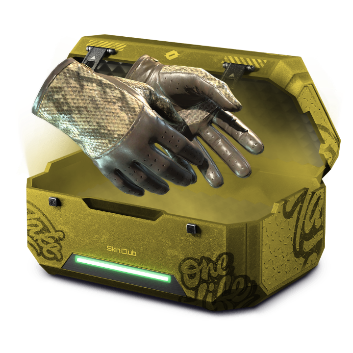 ✨ Gold Agents 50%