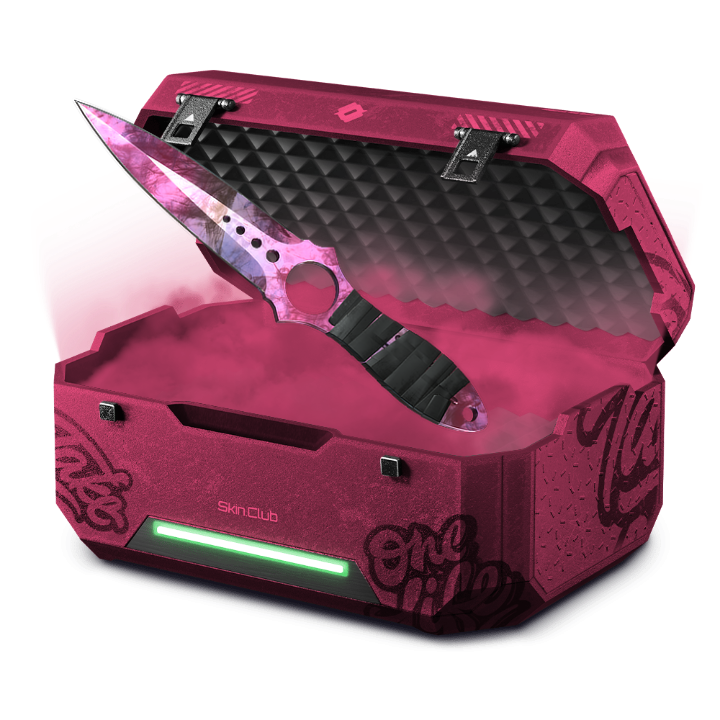THE BEST SHARE CASE