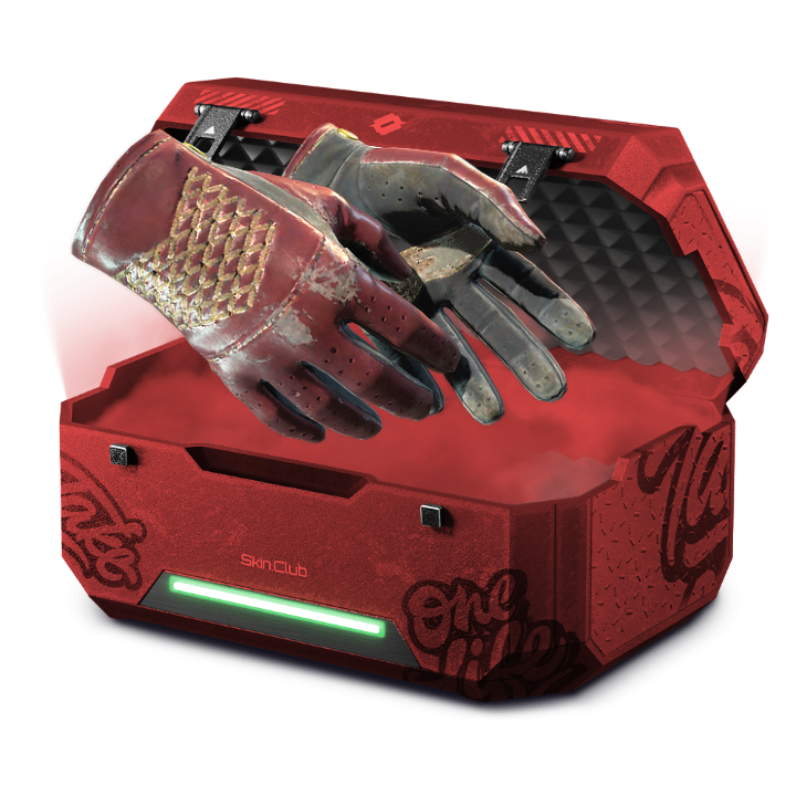 10% Budget Gloves