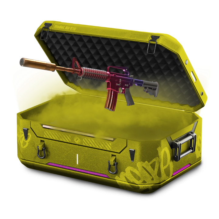 Good Rifles Case