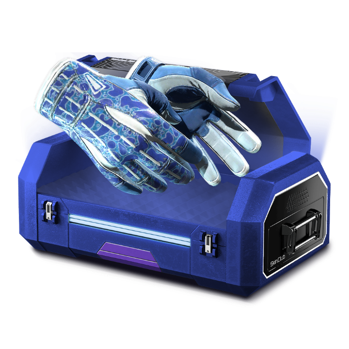 %100 GLOVE CASE USE