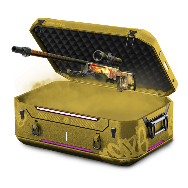 Level 100 Free Case