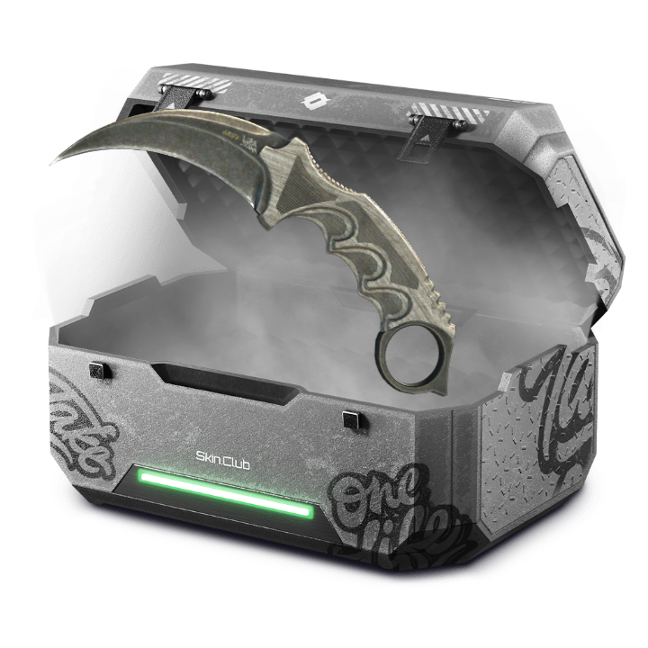 w/n3107/karambit