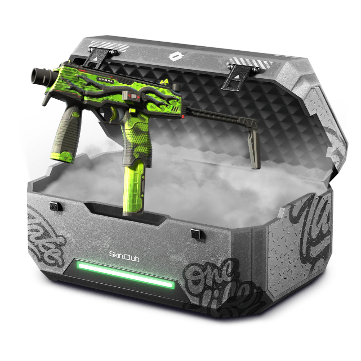 PLAYSKINS