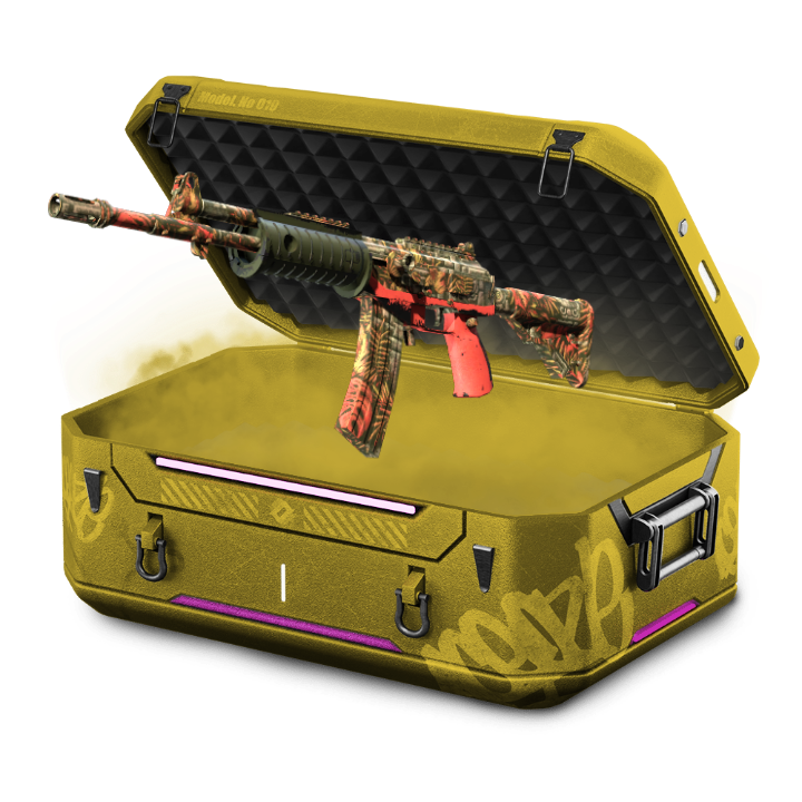 25% GALIL CASE