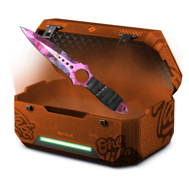 M4A4 SKELETON CASE