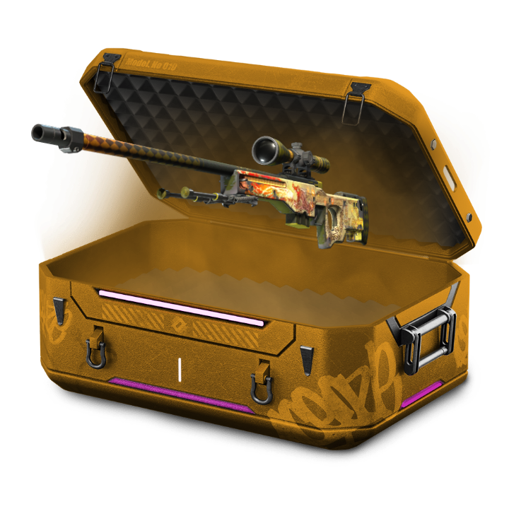 LEVEL 100 CASE