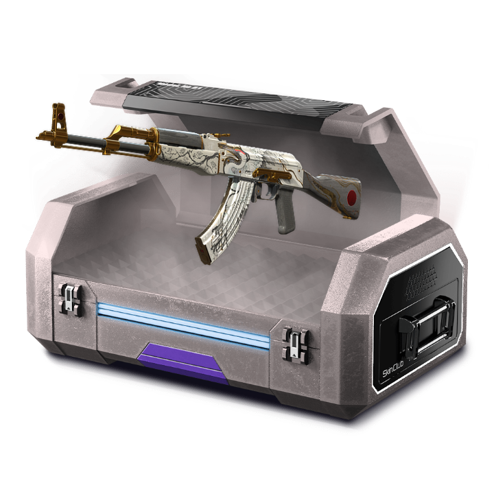 A FOOLS CASE