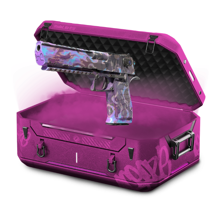 10% Battle Case