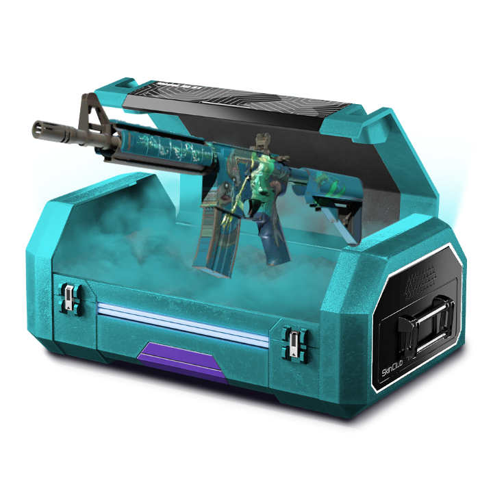 DA M4A4 CASE