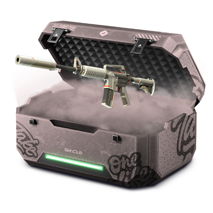 Mini Case BTNN 11