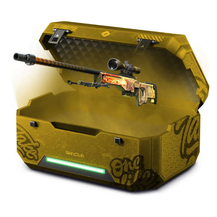 Dragon haha case