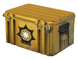 Cases icon