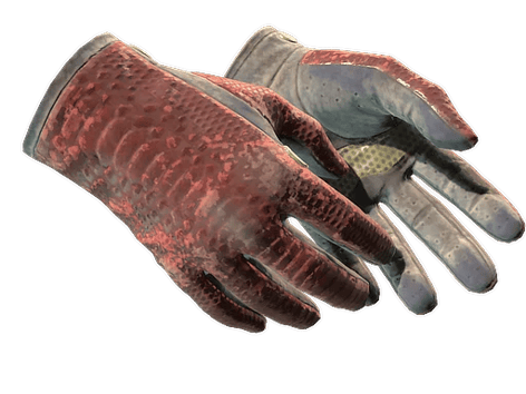 ★ Driver Gloves | Dragon Fists (Battle-Scarred)