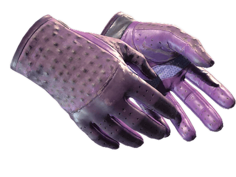 ★ Driver Gloves | Plum Quill (Field-Tested)