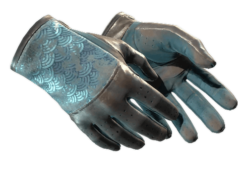 ★ Driver Gloves | Seigaiha (Battle-Scarred)