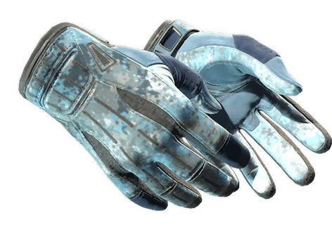 ★ Sport Gloves | Frosty (Factory New)