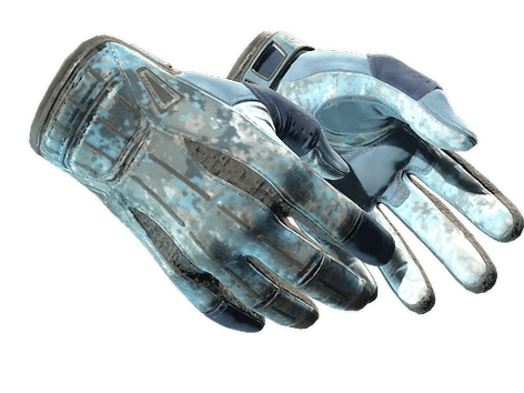 ★ Sport Gloves | Frosty (Field-Tested)