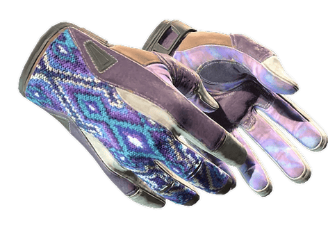 ★ Sport Gloves | Violet Beadwork (Well-Worn)