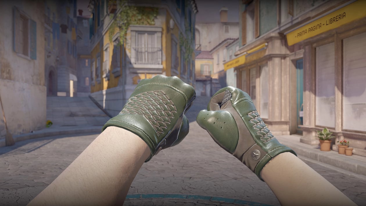 Preview image 2 of ★ Driver Gloves | Racing Green (Factory New)