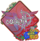 Sticker | cadiaN (Glitter) | Rio 2022 image