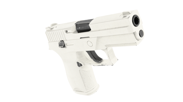 Preview image 5 of P250 | 银装素裹 (崭新出厂)