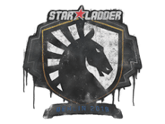Sealed Graffiti | Team Liquid | Berlin 2019 Sealed Graffiti | Team Liquid | Berlin 2019 image