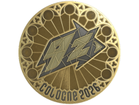 Sticker | 9z Team (Gold) | Cologne 2026