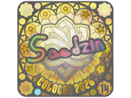 saadzin (Holo, Ranked) | Cologne 2026 saadzin (Holo, Ranked) | Cologne 2026 image