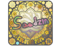 Sticker | saadzin (Holo, Ranked) | Cologne 2026