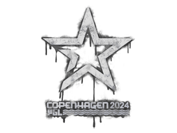Sinetöity graffiti | Complexity Gaming | Kööpenhamina 2024