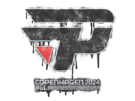 Sealed Graffiti | paiN Gaming | Copenhagen 2024