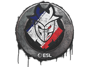 Sealed Graffiti | G2 Esports | Katowice 2019 Sealed Graffiti | G2 Esports | Katowice 2019 image