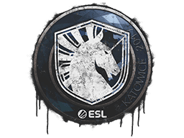 Sealed Graffiti | Team Liquid | Katowice 2019 Sealed Graffiti | Team Liquid | Katowice 2019 image