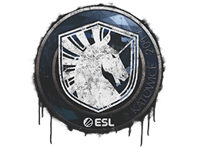 Sealed Graffiti | Team Liquid | Katowice 2019