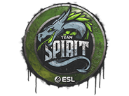 Sealed Graffiti | Team Spirit | Katowice 2019 Sealed Graffiti | Team Spirit | Katowice 2019 image