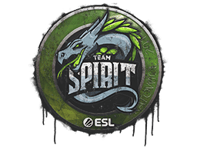Sealed Graffiti | Team Spirit | Katowice 2019