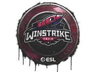 Sealed Graffiti | Winstrike Team | Katowice 2019